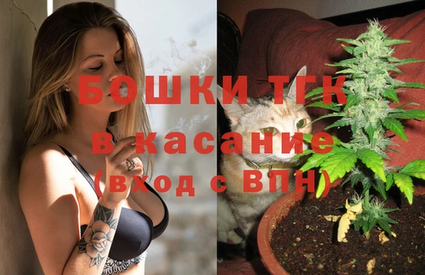 гидропоника Гусь-Хрустальный