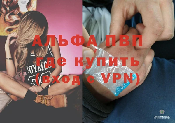 гидропоника Гусь-Хрустальный