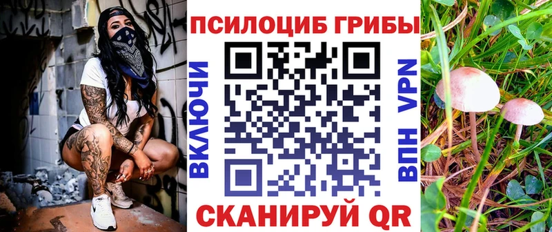 Галлюциногенные грибы Magic Shrooms Мончегорск