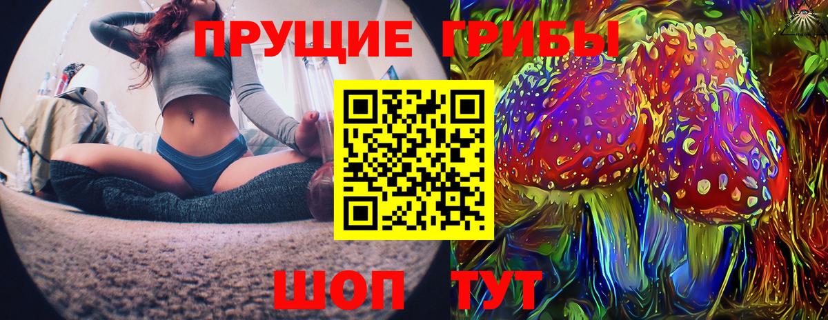 Мончегорск  Псилоцибиновые грибы прущие грибы  Вход с VPN 