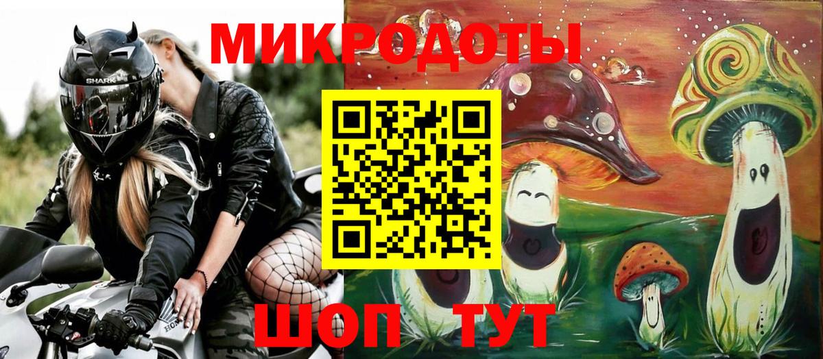 ГАШ Мончегорск
