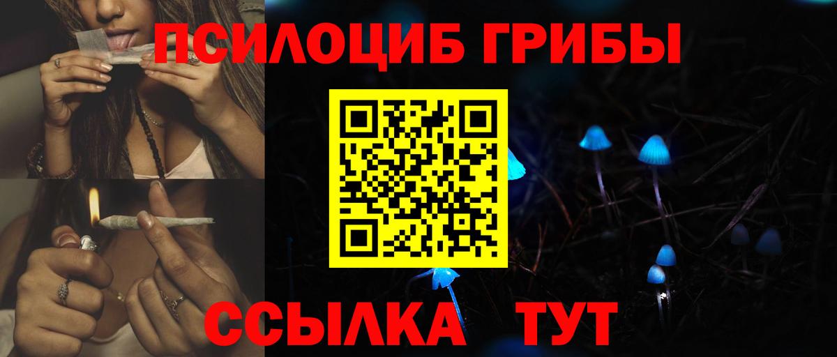 Псилоцибиновые грибы GOLDEN TEACHER Мончегорск